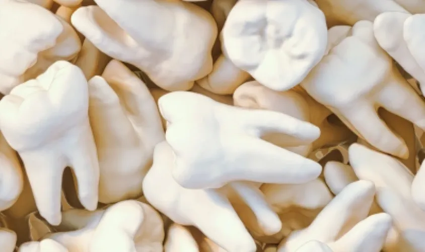 Interprétation des Rêves : Dents