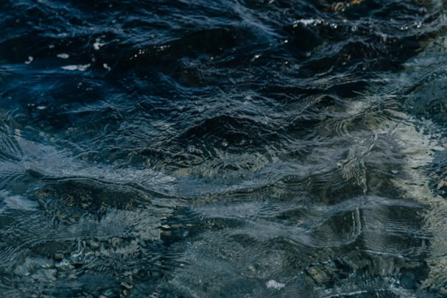 Interpretación del Sueño del Agua