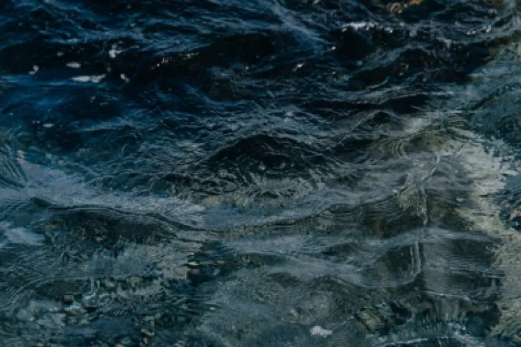 Interpretación del Sueño del Agua