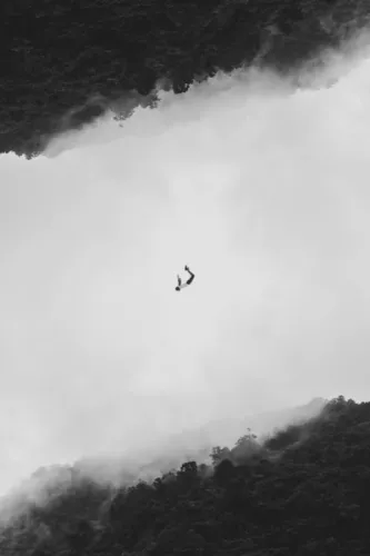 Interpretación del Sueño de Volar